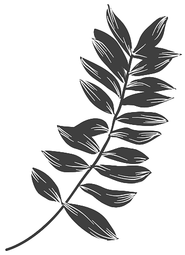 Leaf Decoration